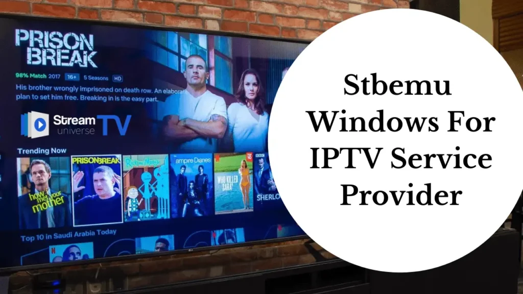 stbemu windows for iptv, StreamTVUniverse, best iptv provider, stbemu, iptv service